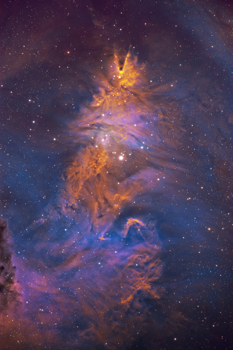 Christmas Tree Nebula