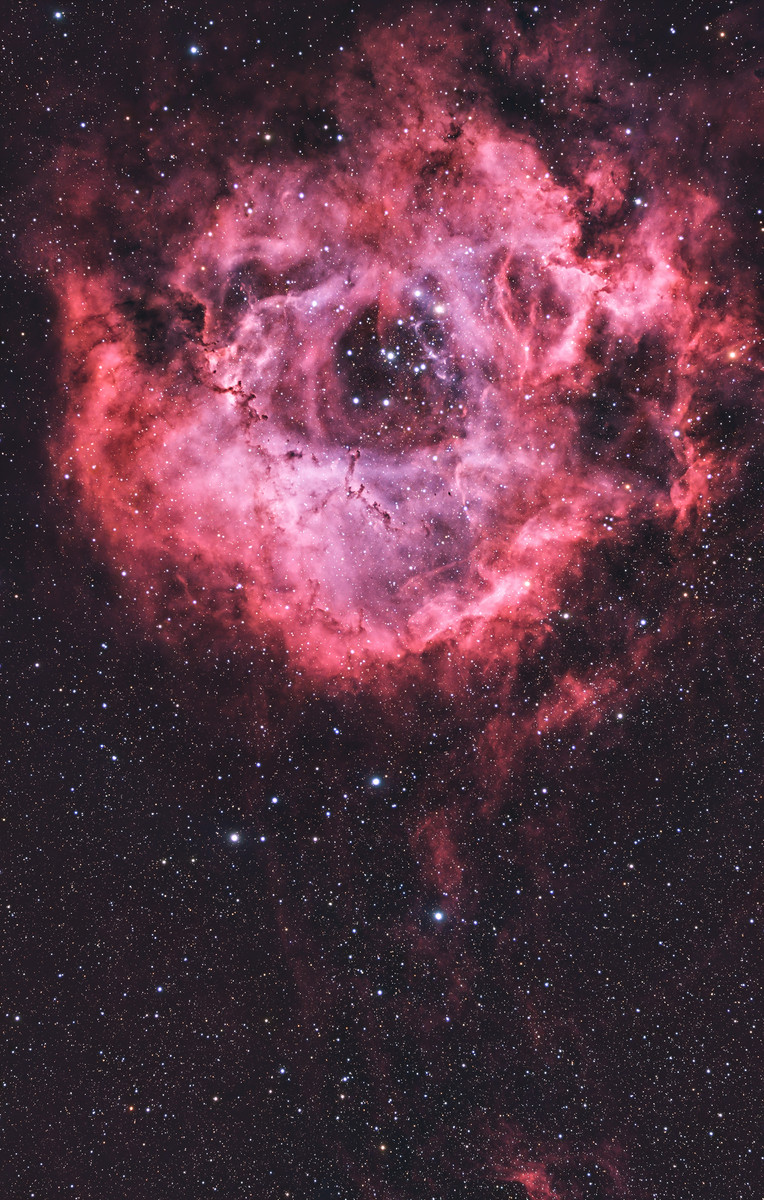 Rosette Nebula True Color