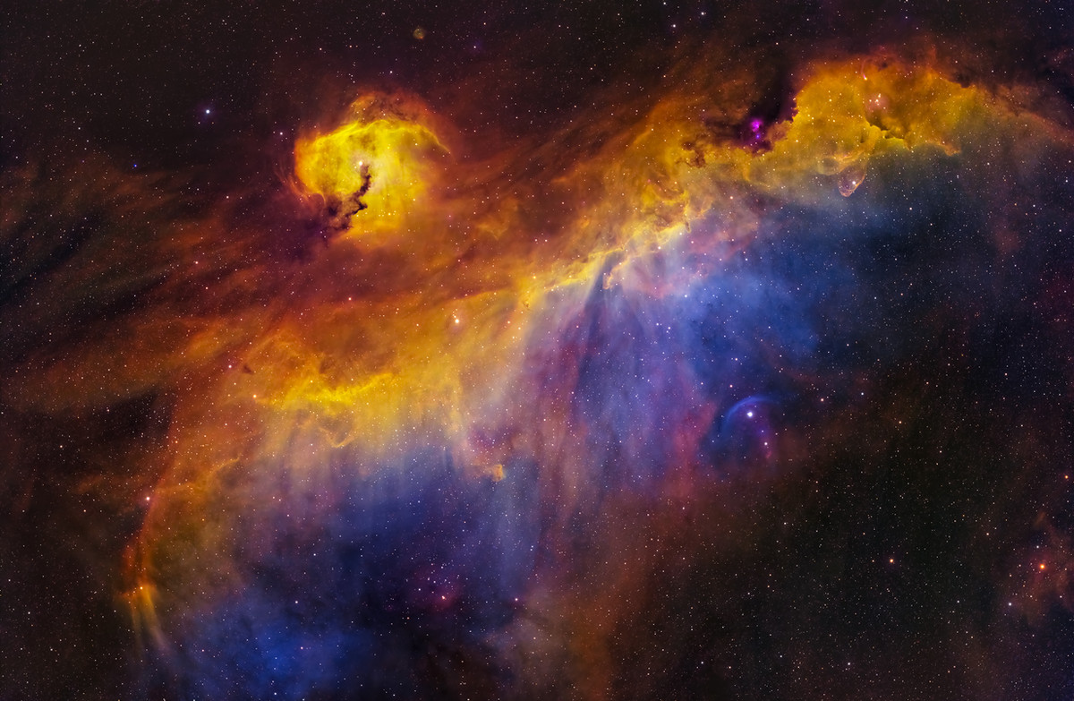 Seagull Nebula
